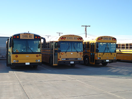 a picture with some school busses